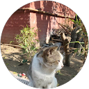 Kaaappiill profile picture